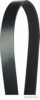 HERTH+BUSS JAKOPARTS J1071785 V-Ribbed Belts